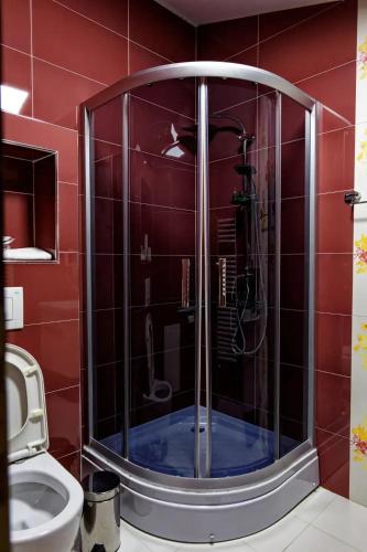 a shower in a red tiled bathroom with a toilet at The House of the Miyaks in Rostuša