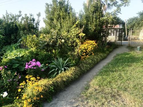 Zahrada ubytování Roin Guest House
