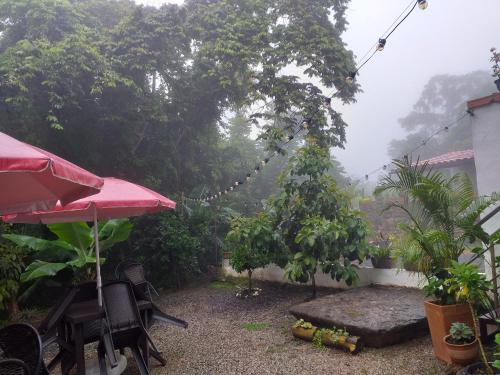 a patio with a red umbrella and a tree at Casona CHARA in Barichara