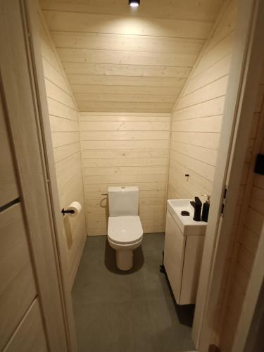 ein kleines Bad mit WC und Waschbecken in der Unterkunft Zakątek na Ptasiej in Sasino