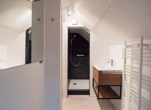 uma casa de banho com um chuveiro e um lavatório. em Le Clos Margaux em Chaudfontaine