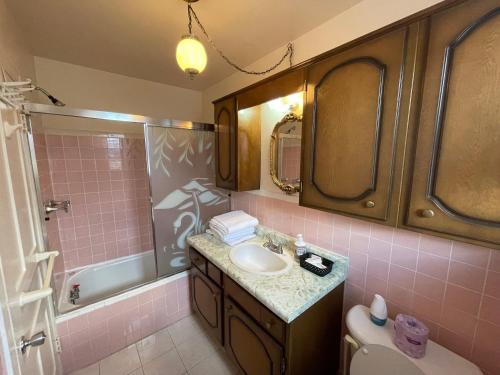 Falls House Downtown Niagara Falls Canada في شلالات نياجارا: حمام وردي مع حوض ودش