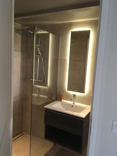 une salle de bain avec un lavabo, une douche et un miroir dans l'établissement Le Patio du bourg - Studio entre lac et océan, à Biscarrosse