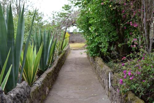 a path through a garden with plants and flowers at Lillypond Camp in Elmenteita