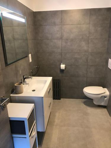 une salle de bain avec un lavabo, des toilettes et un miroir dans l'établissement A SUARA- CORSE- APPARTEMENT 2 chambres 5 à 7 pers, jardin et piscine, à Porto-Vecchio