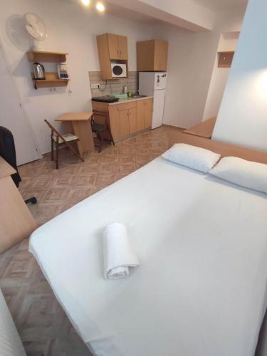 Kuchyň nebo kuchyňský kout v ubytování Casa Rezidentiala Pasteur