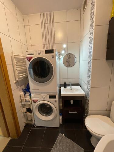 格但斯克的住宿－Mieszkanie z hamakiem，浴室配有洗衣机、卫生间和水槽