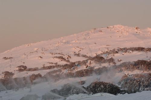 a snow covered hill with a bunch of animals on it at The Perisher Valley Hotel in Perisher Valley