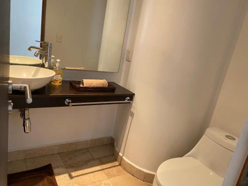 a bathroom with a sink and a toilet and a mirror at Loft in Mexico City