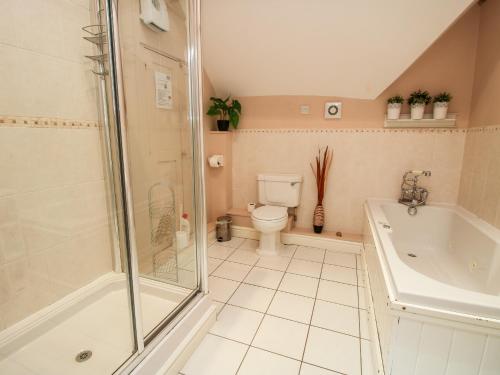 a bathroom with a shower and a toilet and a tub at The Old Farmhouse in Craven Arms