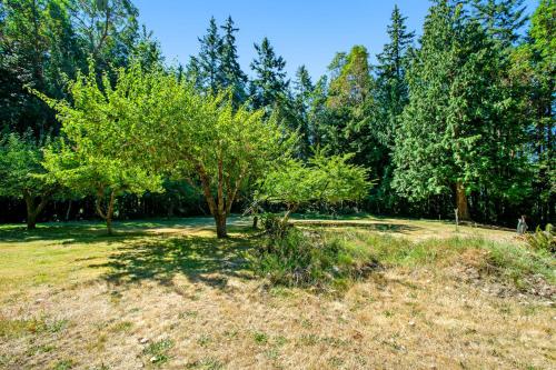 a group of trees in a field at Gummy Bear in Sequim