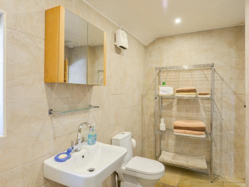 a bathroom with a sink and a toilet and a shower at The Old Parlour in Sampford Courtenay