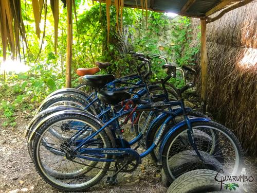 a group of bikes parked next to each other at Guarumbo in Bacalar