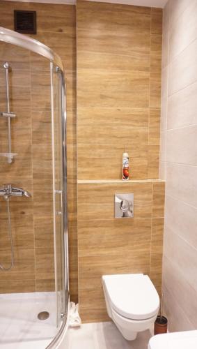 グディニャにあるApartament Słonecznyのバスルーム(トイレ、ガラス張りのシャワー付)