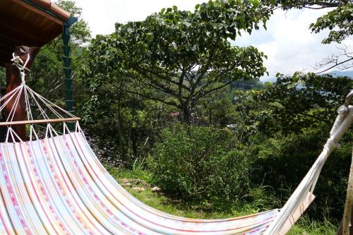 a hammock with a view of trees and bushes at Bungalows Sanlaz in Barrio Jesús