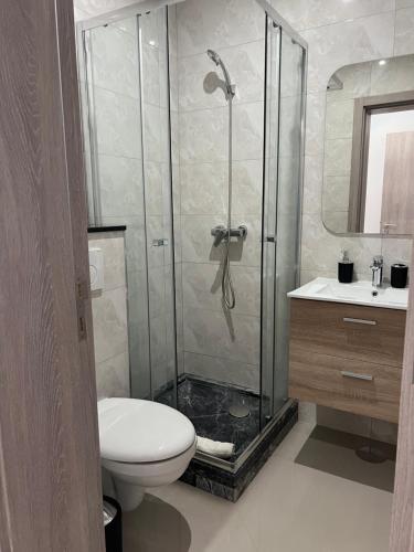 a bathroom with a shower with a toilet and a sink at Tarrafal Apartments in Tarrafal