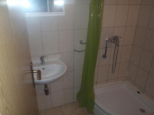 Bilik mandi di Apartments by the sea Zablace, Sibenik - 4251