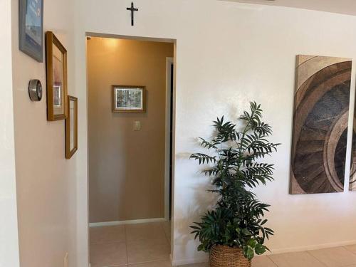 a hallway with a plant and a cross on the wall at Heated Pool Paradise, Gulf Access, Pet Friendly in Port Charlotte