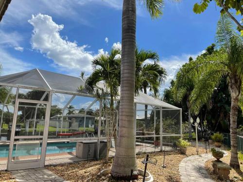 uma palmeira em frente a um edifício com piscina em Heated Pool Paradise, Gulf Access, Pet Friendly em Port Charlotte
