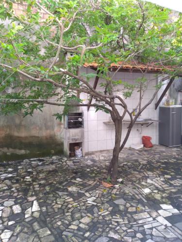 un albero davanti a un edificio con una stufa di CASA AMARELA a Salvador