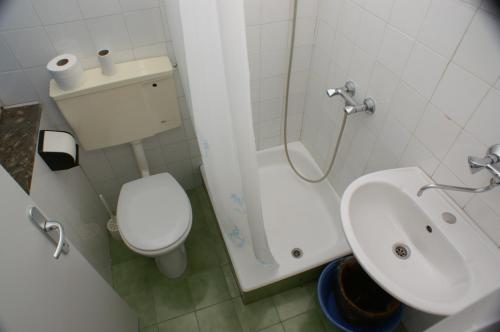 uma casa de banho com um WC, um lavatório e um chuveiro em Double Room Jelsa 4041e em Jelsa