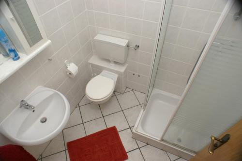 a bathroom with a toilet and a sink and a shower at Apartment Mandre 4098d in Mandre