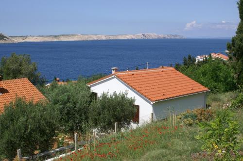 Seaside holiday house Stara Novalja, Pag - 4152