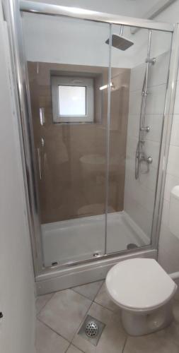 Ένα μπάνιο στο Apartments by the sea Metajna, Pag - 4150