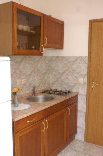 Kuchyň nebo kuchyňský kout v ubytování Apartments by the sea Zubovici, Pag - 4130
