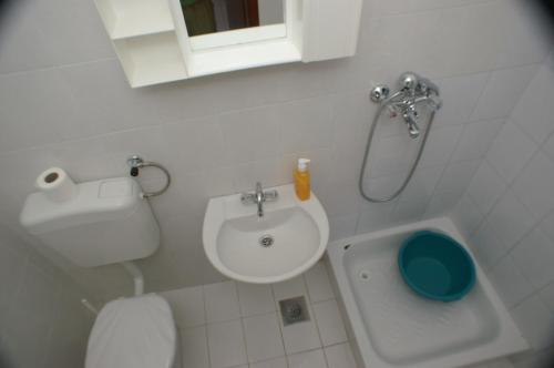 a small bathroom with a sink and a shower at Apartment Bilo 4189a in Podgreben