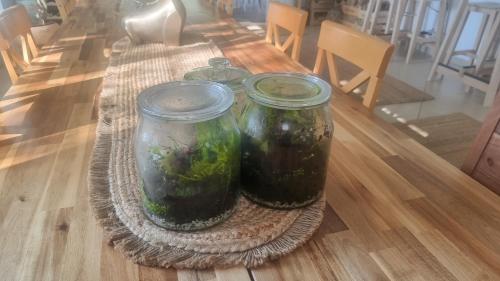 two mason jars with plants in them sitting on a table at Olives in Arad