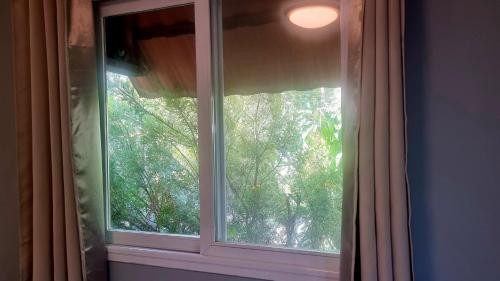 a window with a view of a tree at Olives in Arad
