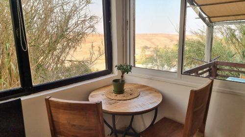 a table with a potted plant sitting in front of a window at Olives in Arad