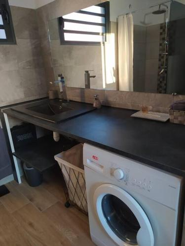 a washing machine in a bathroom with a sink at Le coin paisible in Saint-Louis