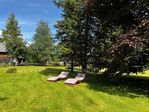 two benches sitting in the grass in a yard at Ferienwohnungen BERGfeeling in Bad Mitterndorf