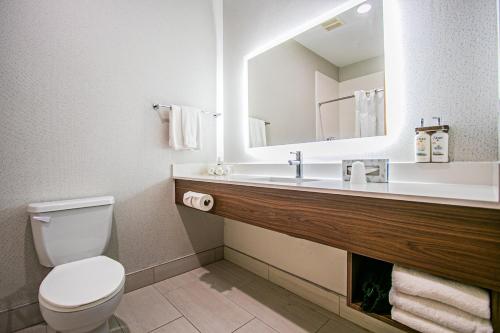 a bathroom with a toilet and a sink with a mirror at Holiday Inn Express Hotel and Suites South Padre Island, an IHG Hotel in South Padre Island