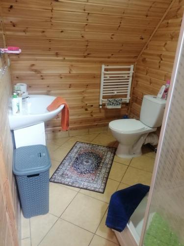 a bathroom with a toilet and a sink at Dom Gościnny Matysowka in Jarosławiec