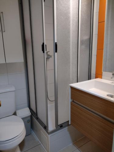 a bathroom with a toilet and a shower and a sink at Puerto Perales Talcahuano in Talcahuano