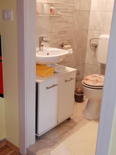 a bathroom with a sink and a toilet at Holiday house Dol in Cerovlje