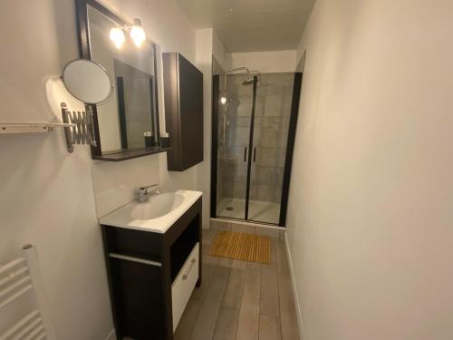 a bathroom with a sink and a shower at L'Abri-gîte - Appartement moderne idéalement situé en centre ville in Dieppe