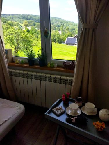 a room with a table in front of a window at Pokoje goscinne u Olguni in Chyrowa