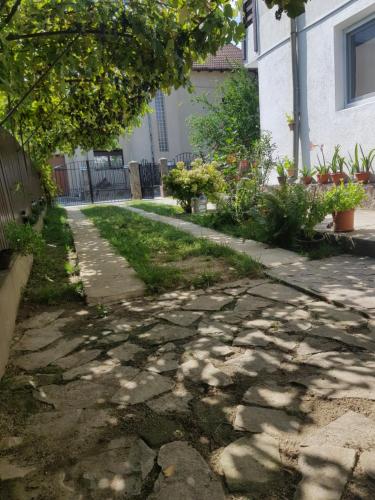 a stone path in front of a house at Casa Lica in Căciulata