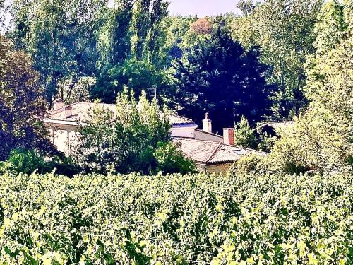 Κήπος έξω από το FABULEUX - Domaine du Moulin D'Andraut Bordeaux-Chevaux-Golf-St Emilion