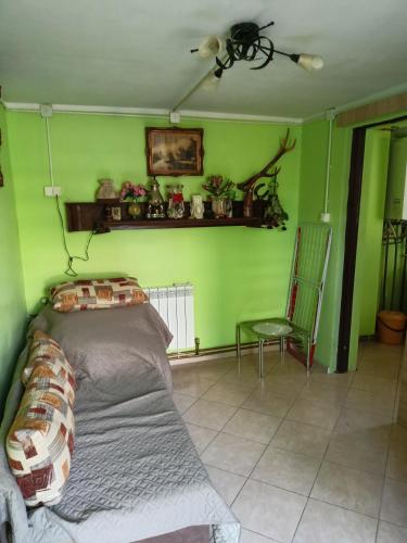 a green bedroom with a bed and a chair at U Ani in Kowal