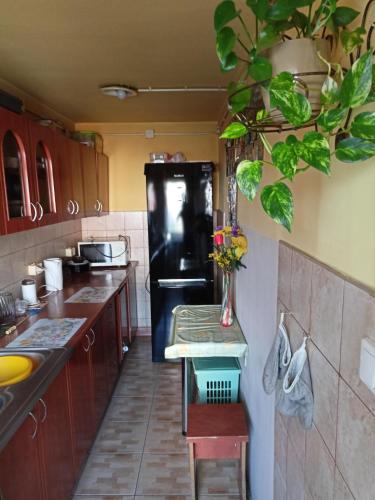 U Ani في Kowal: مطبخ مع ثلاجة سوداء وطاولة