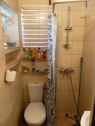 a bathroom with a toilet and a shower at U Ani in Kowal