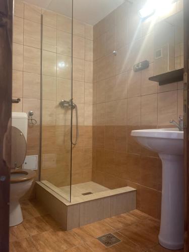 a bathroom with a shower and a toilet and a sink at Csíki Határ Fogadó/ Hanul Hotarul Ciucului in Bixad