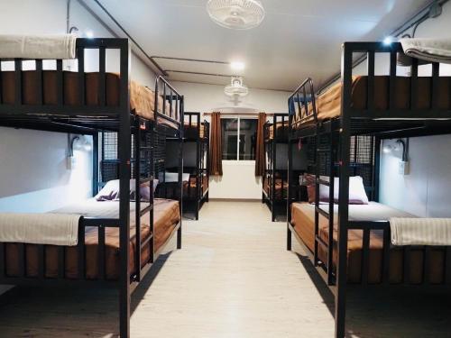 Wild Ones Hostel tesisinde bir ranza yatağı veya ranza yatakları
