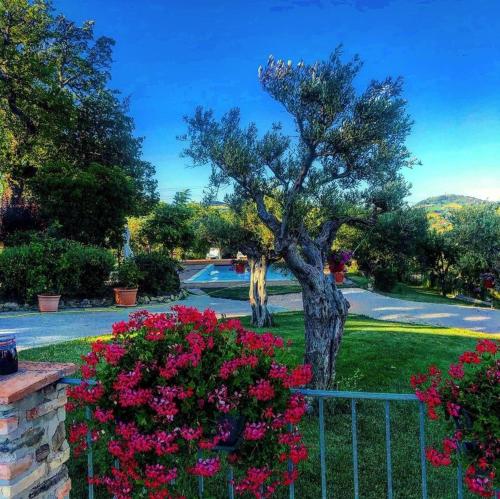 サン・セヴェリーノ・マルケにあるCasale il Cerquetoのギャラリーの写真