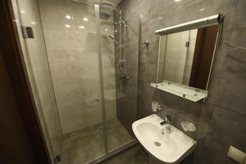 a bathroom with a shower and a sink and a mirror at Family Hotel Avlabar in Tbilisi City